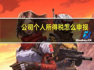 公司个人所得税怎么申报