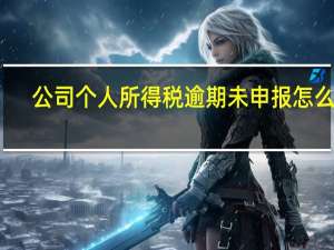 公司个人所得税逾期未申报怎么办