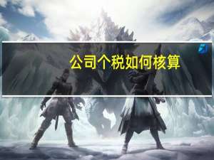 公司个税如何核算