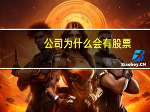 公司为什么会有股票