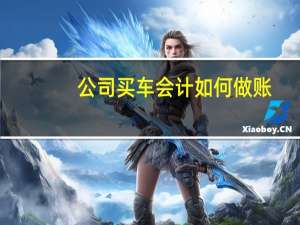 公司买车会计如何做账