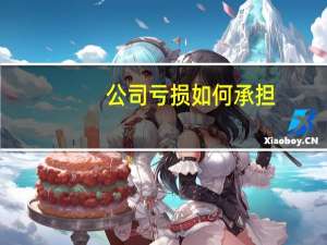 公司亏损如何承担