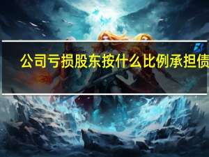 公司亏损股东按什么比例承担债务