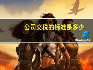 公司交税的标准是多少