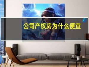 公司产权房为什么便宜
