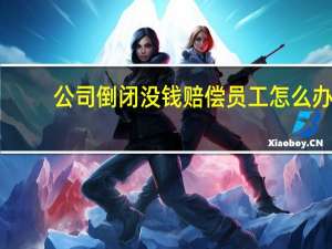 公司倒闭没钱赔偿员工怎么办