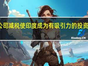公司减税使印度成为有吸引力的投资目的地