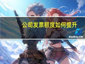公司发票额度如何提升