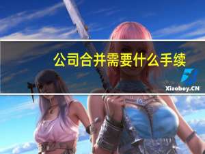 公司合并需要什么手续