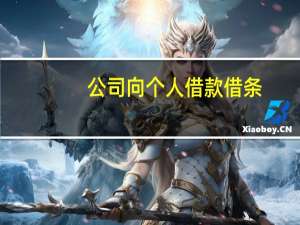 公司向个人借款借条