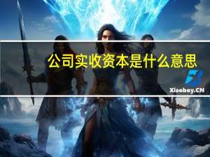 公司实收资本是什么意思