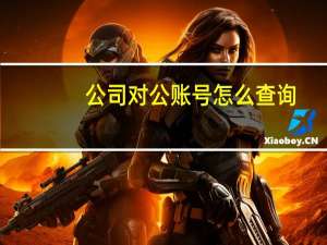 公司对公账号怎么查询