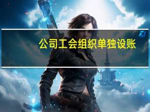 公司工会组织单独设账（公司工会组织机构图）