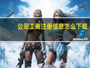 公司工商注册信息怎么下载（新公司工商注册流程）