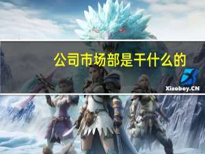 公司市场部是干什么的