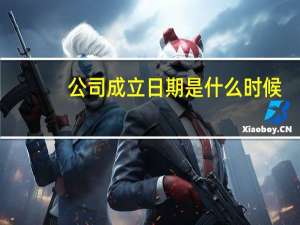公司成立日期是什么时候