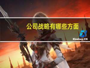 公司战略有哪些方面（公司战略有哪些）