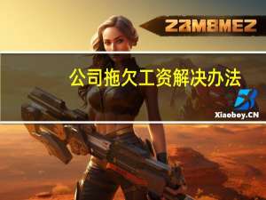 公司拖欠工资解决办法（公司拖欠工资应该怎样维权）