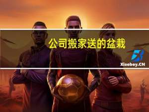 公司搬家送的盆栽