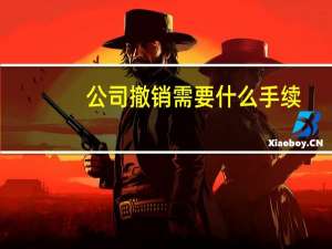 公司撤销需要什么手续