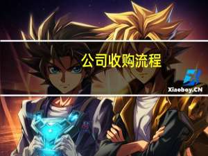 公司收购流程