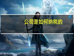 公司是如何纳税的