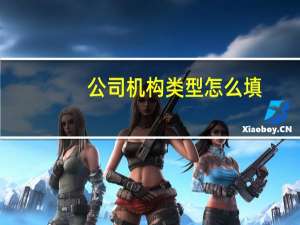 公司机构类型怎么填