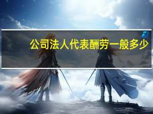 公司法人代表酬劳一般多少