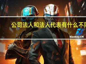 公司法人和法人代表有什么不同