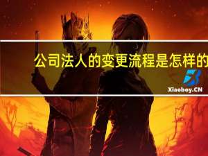 公司法人的变更流程是怎样的
