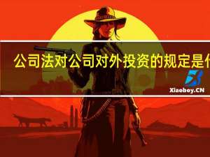 公司法对公司对外投资的规定是什么