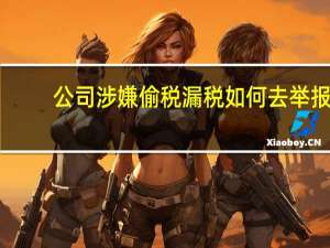 公司涉嫌偷税漏税如何去举报