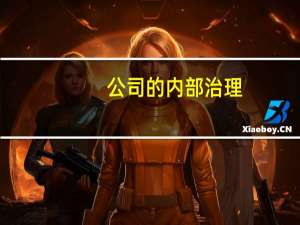 公司的内部治理（公司内部治理结构包括那些）