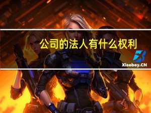 公司的法人有什么权利