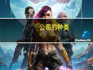 公司的种类