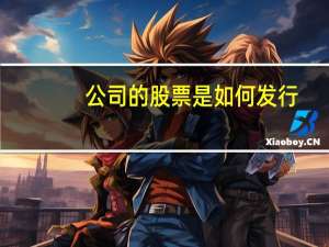 公司的股票是如何发行