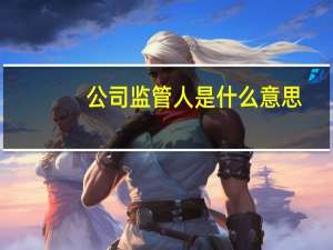 公司监管人是什么意思