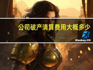 公司破产清算费用大概多少