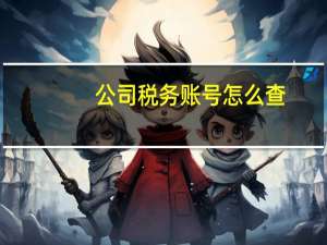 公司税务账号怎么查