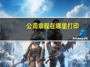 公司章程在哪里打印