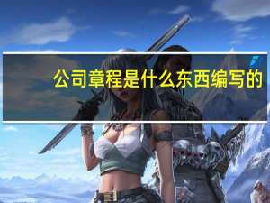 公司章程是什么东西编写的（公司章程是什么东西）