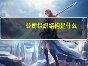 公司组织结构是什么