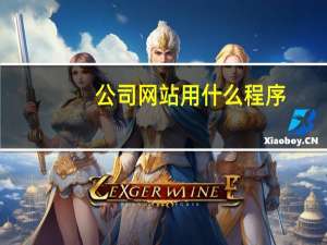 公司网站用什么程序