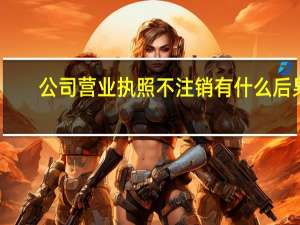 公司营业执照不注销有什么后果
