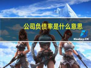 公司负债率是什么意思