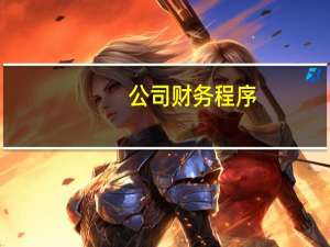 公司财务程序
