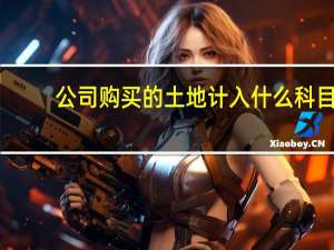 公司购买的土地计入什么科目