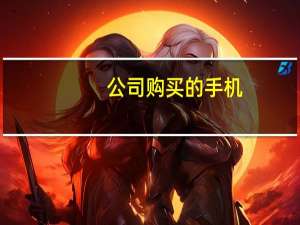 公司购买的手机，如何入账