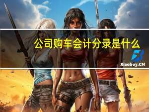 公司购车会计分录是什么