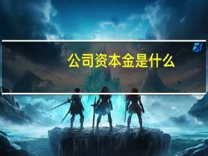 公司资本金是什么